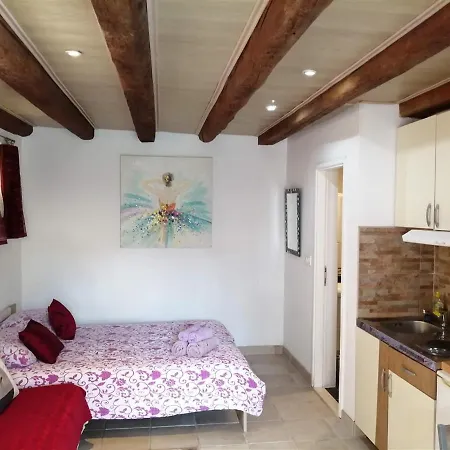 Villa Romantica Avec Piscine, 5 Studio Appartements, 5 Salles De Bains, 5 Cuisines, 12 Personnes * ザダル